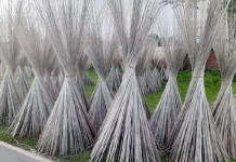 ঠাকুরগাঁওয়ে বাণিজ্যিকভাবে বেড়েছে পাটকাঠির কদর পাটকাঠির কদর