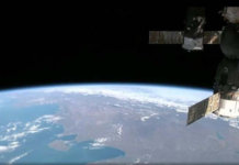 প্রথমবারের মতো মহাকাশে ইঁদুরের ভ্রূণ বিকশিত হয়েছে মহাকাশে ইঁদুরের ভ্রূণ