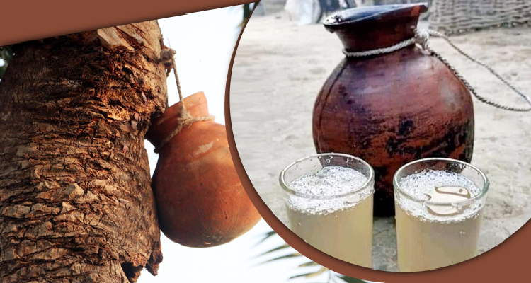 নিপাহ ভাইরাস : খেজুরের কাঁচা রস খাওয়ায় নিষেধাজ্ঞা খেজুরের কাঁচা রস, নিপাহ ভাইরাস,