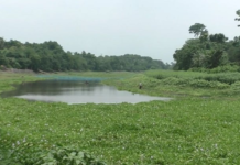 ভারতের দখলে থাকা কোদালিয়া নদী উদ্ধার করলো বিজিবি কোদালিয়া নদী