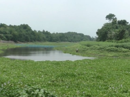 কোদালিয়া নদী