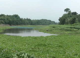 ভারতের দখলে থাকা কোদালিয়া নদী উদ্ধার করলো বিজিবি কোদালিয়া নদী