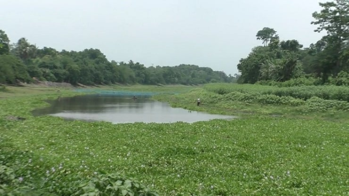 কোদালিয়া নদী