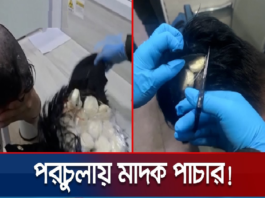 মাদক পাচার