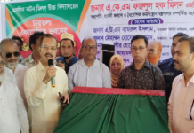 কালীগঞ্জে শিক্ষাঙ্গনে উন্নয়নের ছোঁয়া, ৫ বিদ্যালয়ে ভবন নির্মাণ ও উদ্বোধন